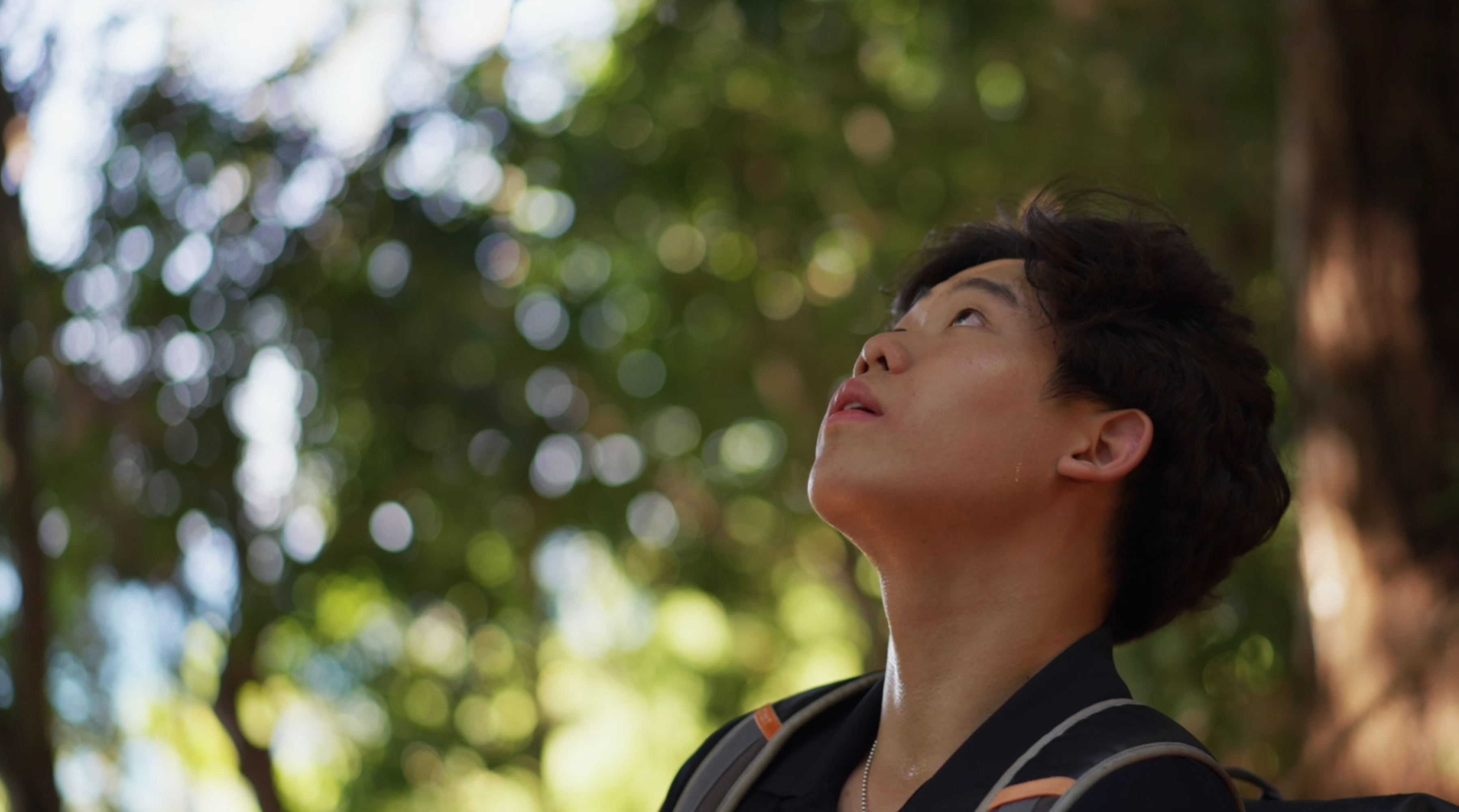 Community Connection - 2